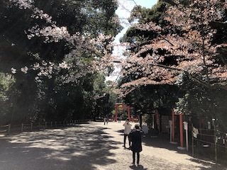 kyoto