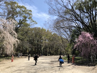 kyoto