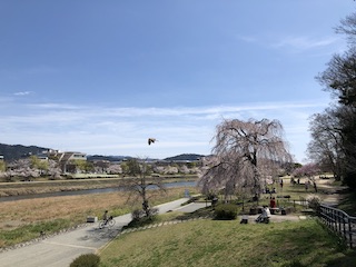 kyoto
