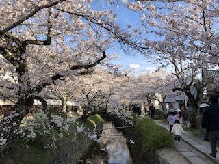 kyoto