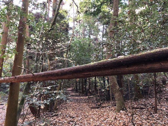 kyoto_11