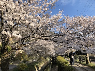 kyoto