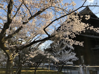 kyoto