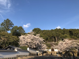 kyoto
