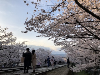 kyoto