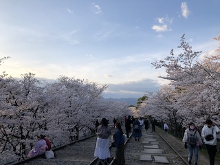 kyoto