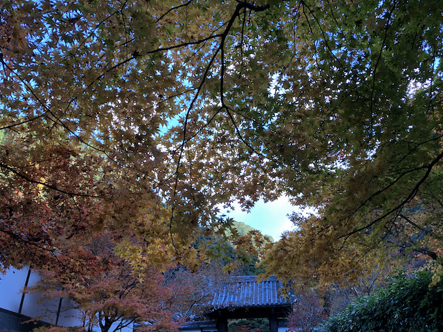 kyoto_12