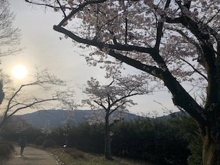 kyoto