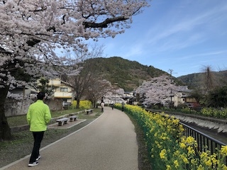 kyoto