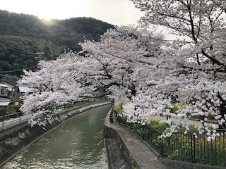 kyoto