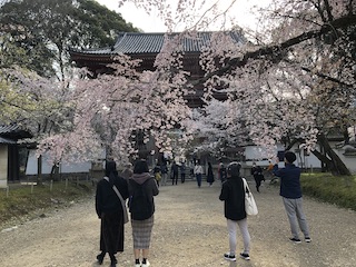 kyoto