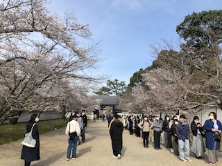 kyoto