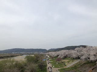 kyoto