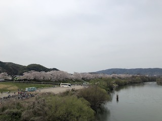 kyoto
