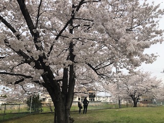 kyoto