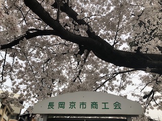 kyoto