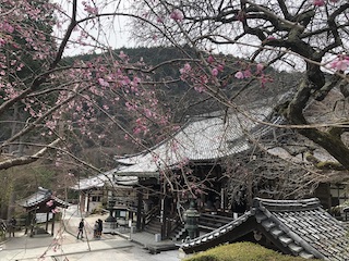 kyoto