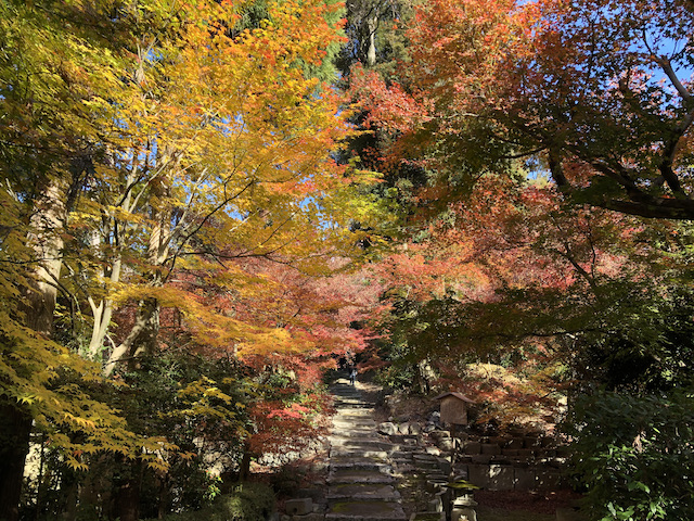 kyoto_19