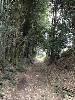 nara_09