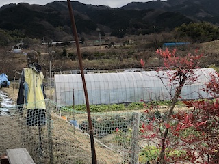 nara_12