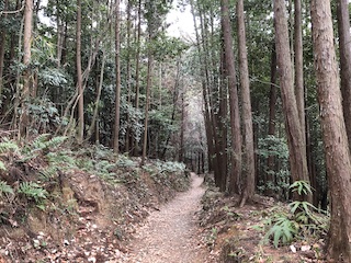 nara_23