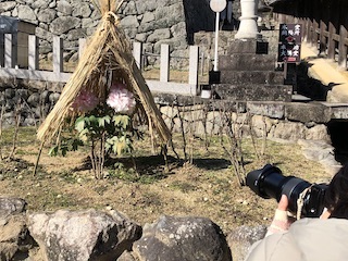 nara_37