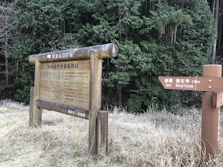 nara_40