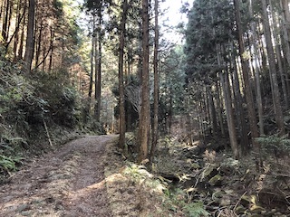 nara_41