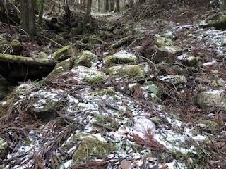 nara_43