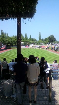 niigata_1
