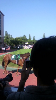 niigata_2