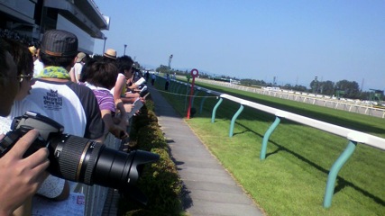 niigata_3